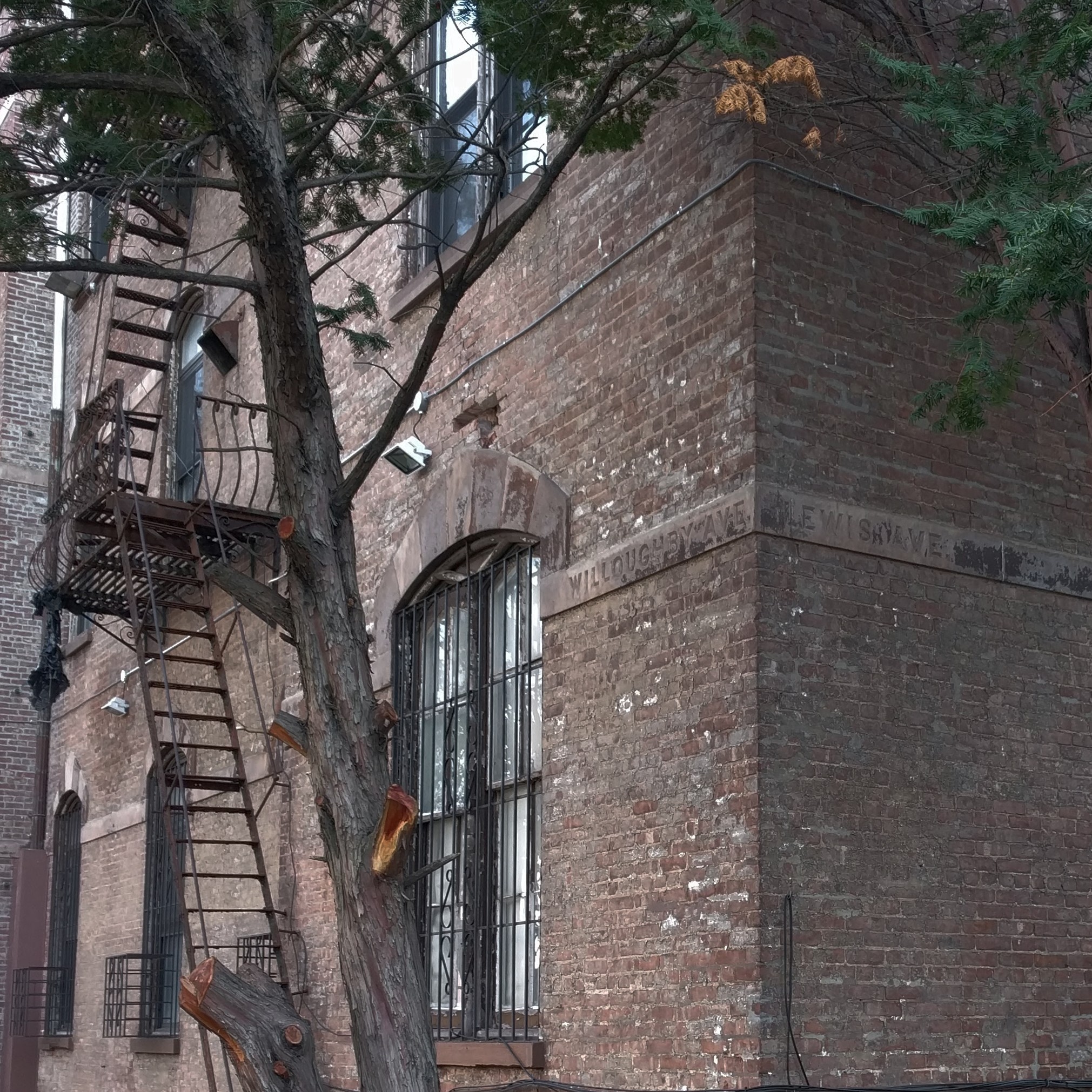 Willoughby Ave and Lewis Ave in Bed Stuy